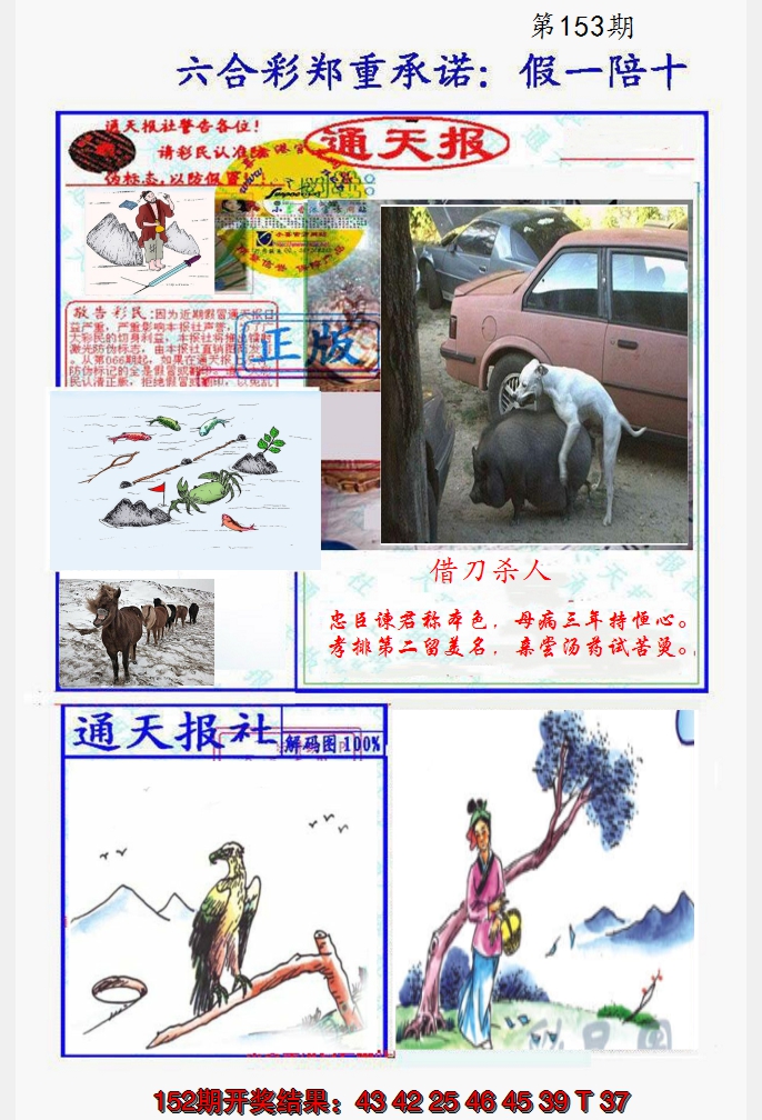2024153期假一陪十通天报