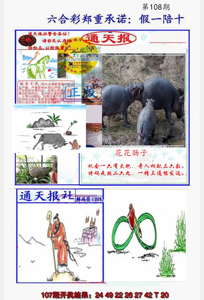 2024108期假一陪十通天报