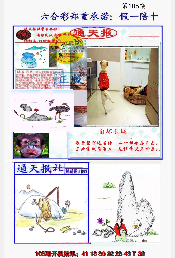 2024106期假一陪十通天报