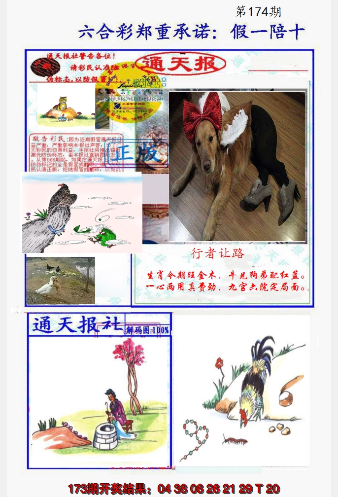 2024174期假一陪十通天报