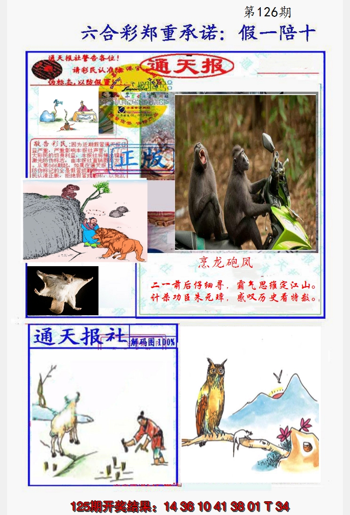 2024126期假一陪十通天报