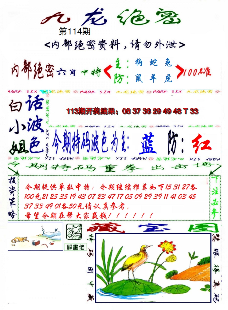2024114期九龙密报