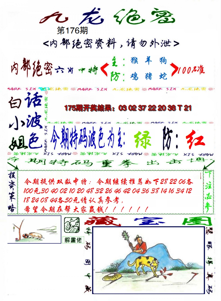 2024176期九龙密报