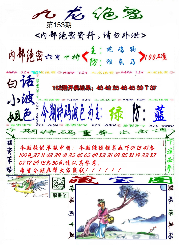 2024153期九龙密报