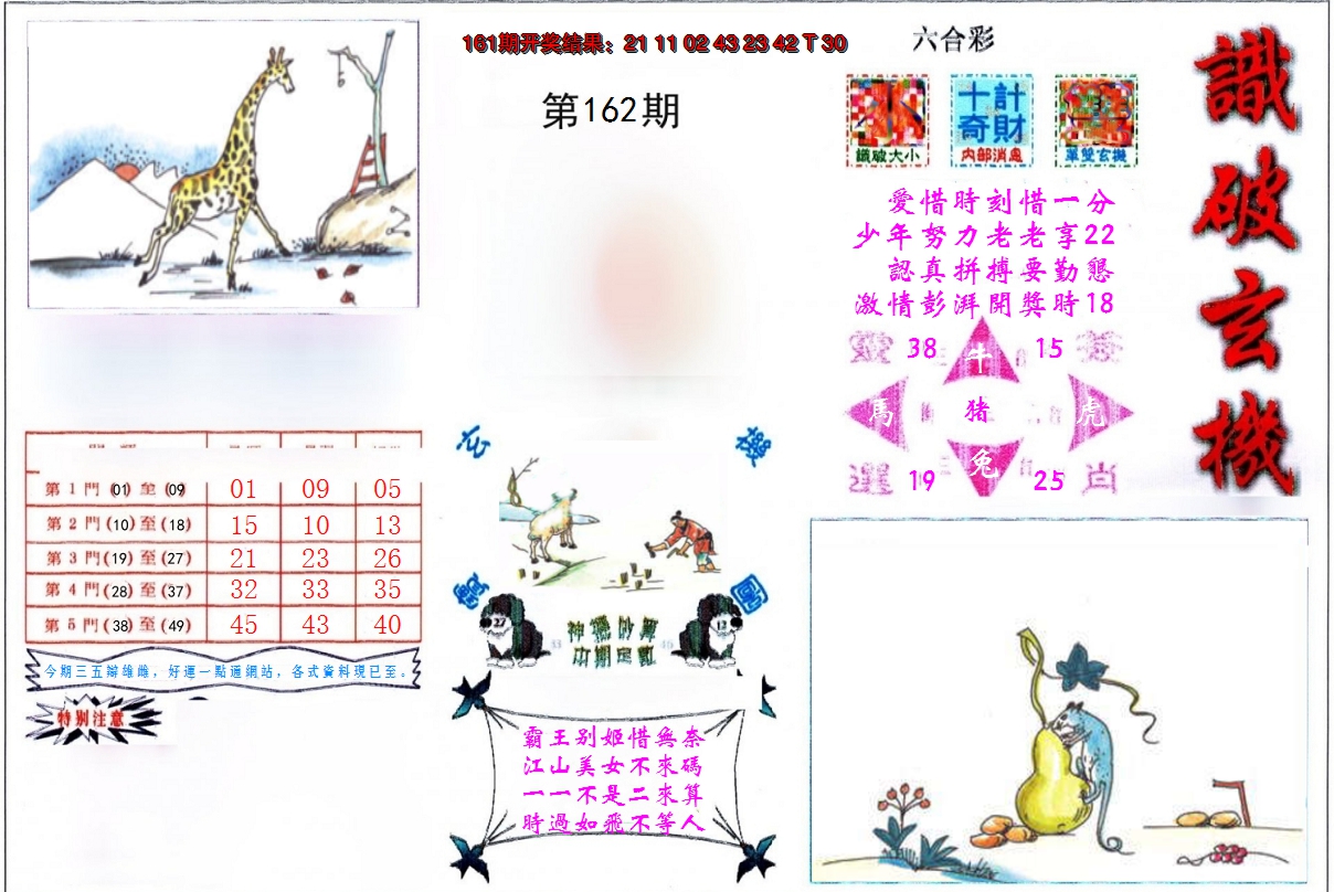 2024162期识破玄机