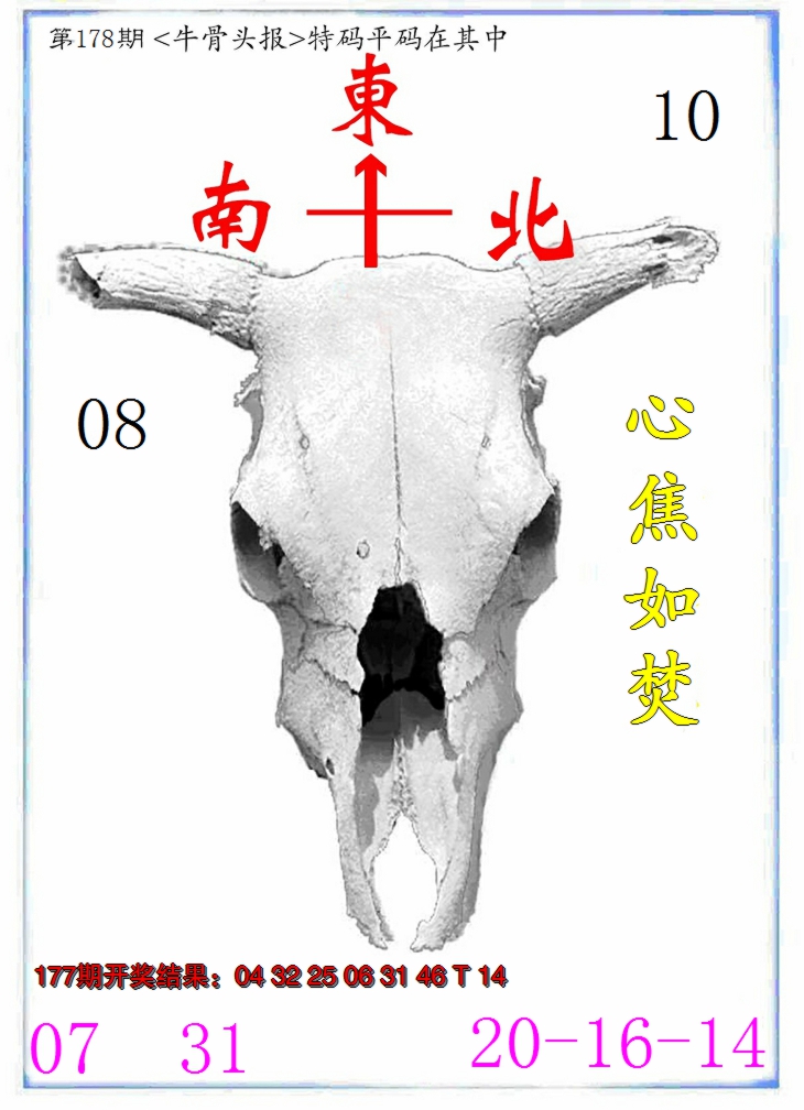 2024178期牛派系列7