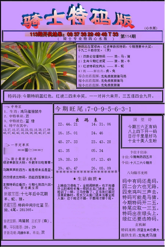2024114期骑士特码版