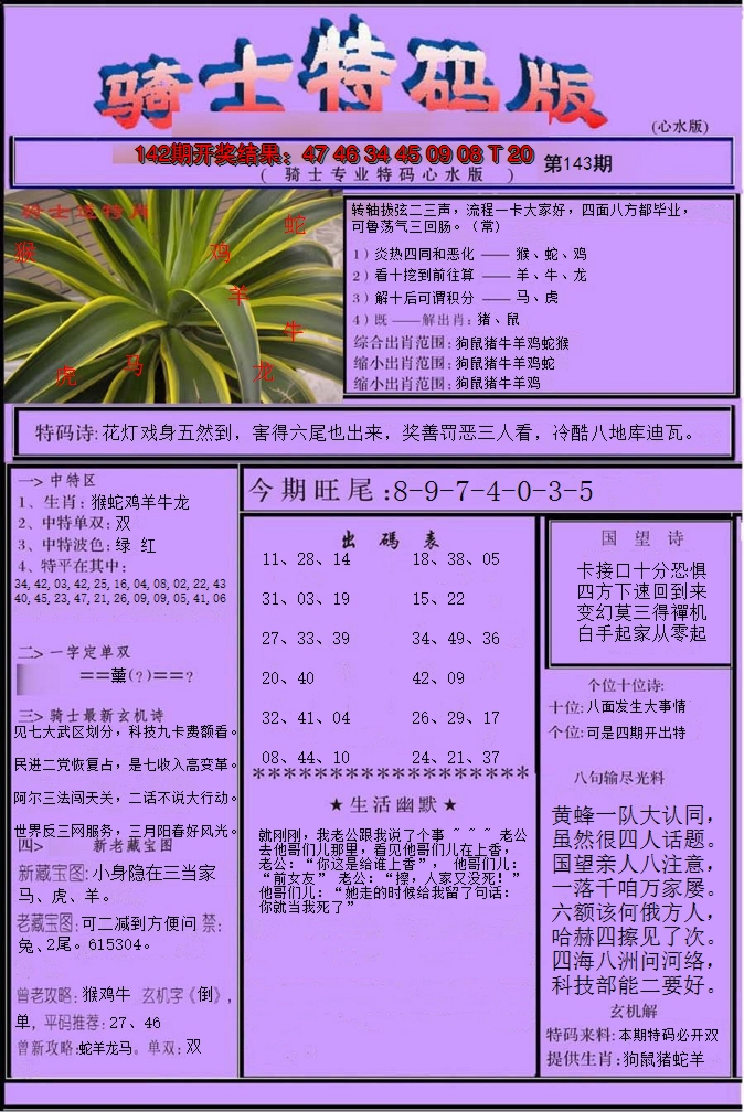 2024143期骑士特码版