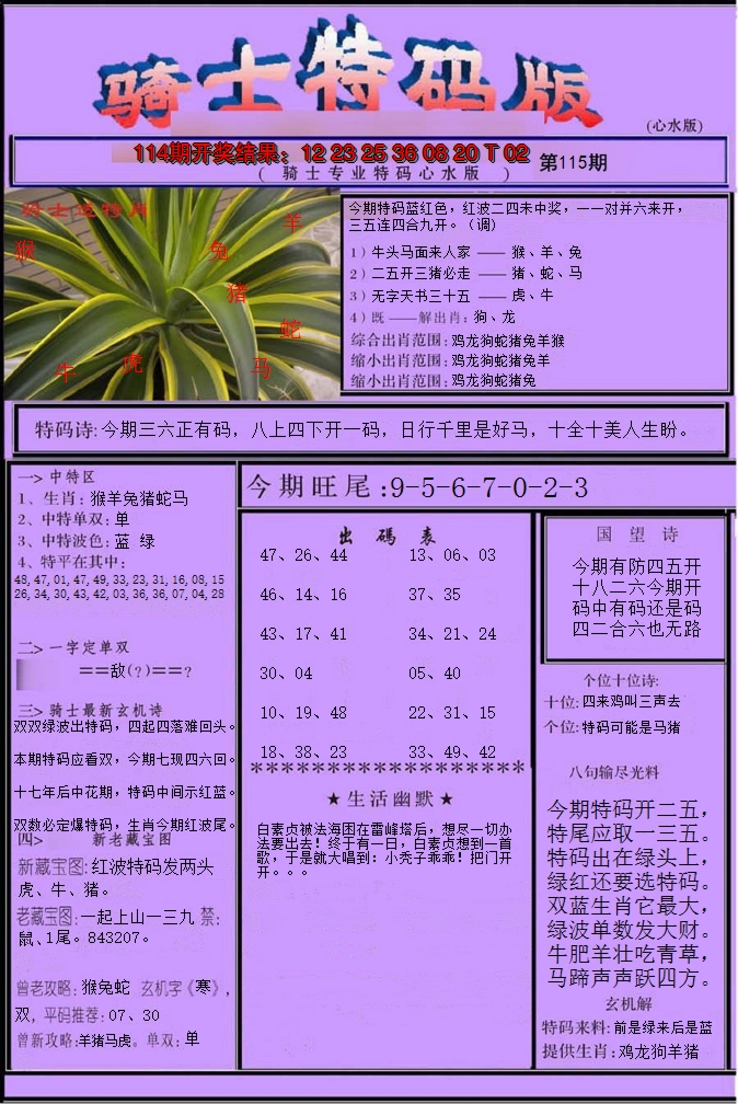 2024115期骑士特码版