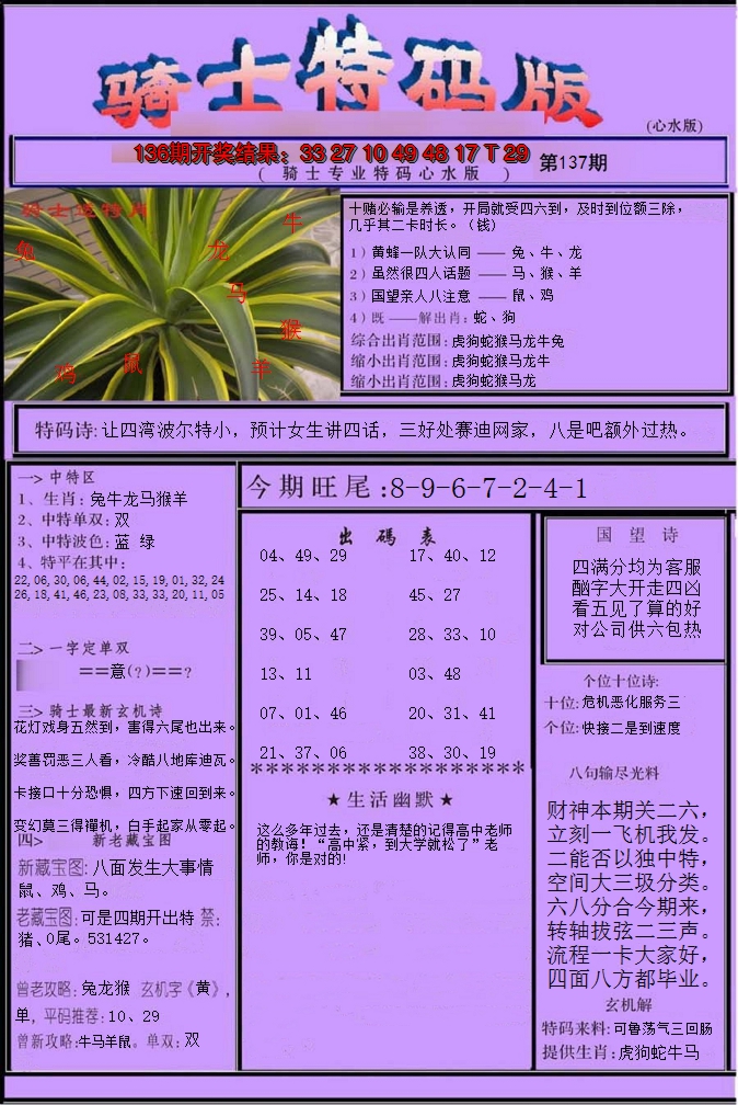 2024137期骑士特码版