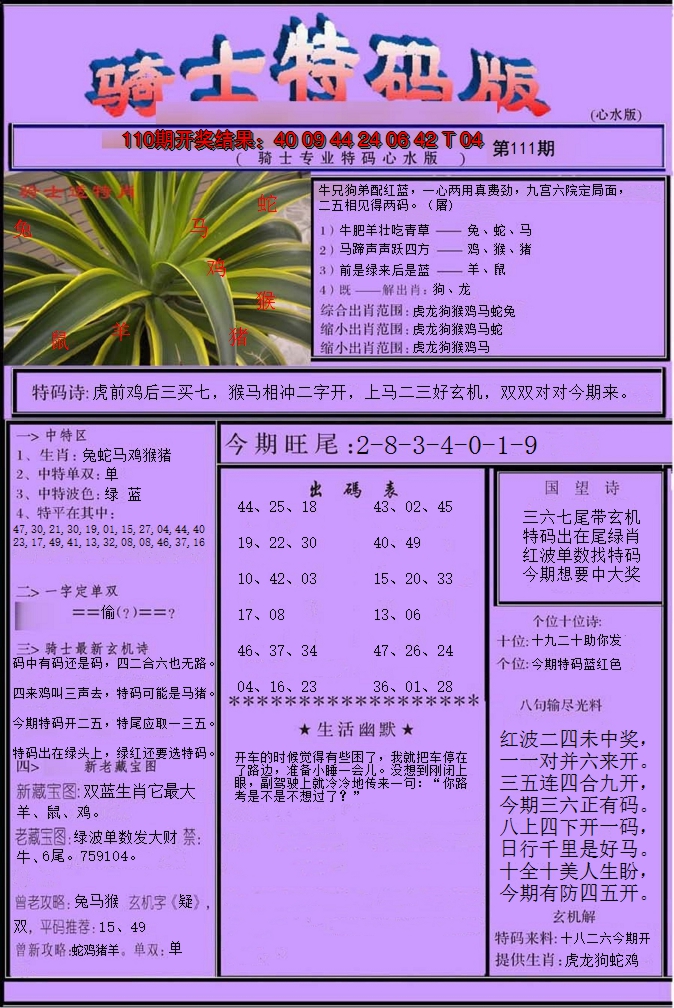 2024111期骑士特码版
