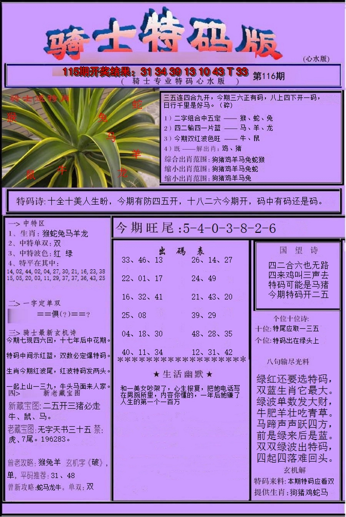 2024116期骑士特码版