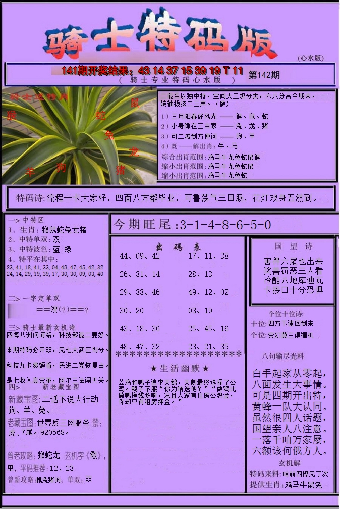 2024142期骑士特码版