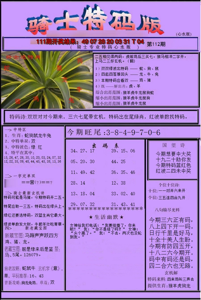 2024112期骑士特码版