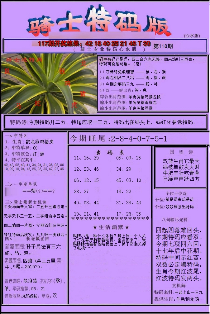 2024118期骑士特码版