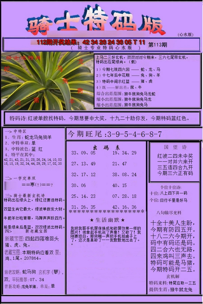 2024113期骑士特码版
