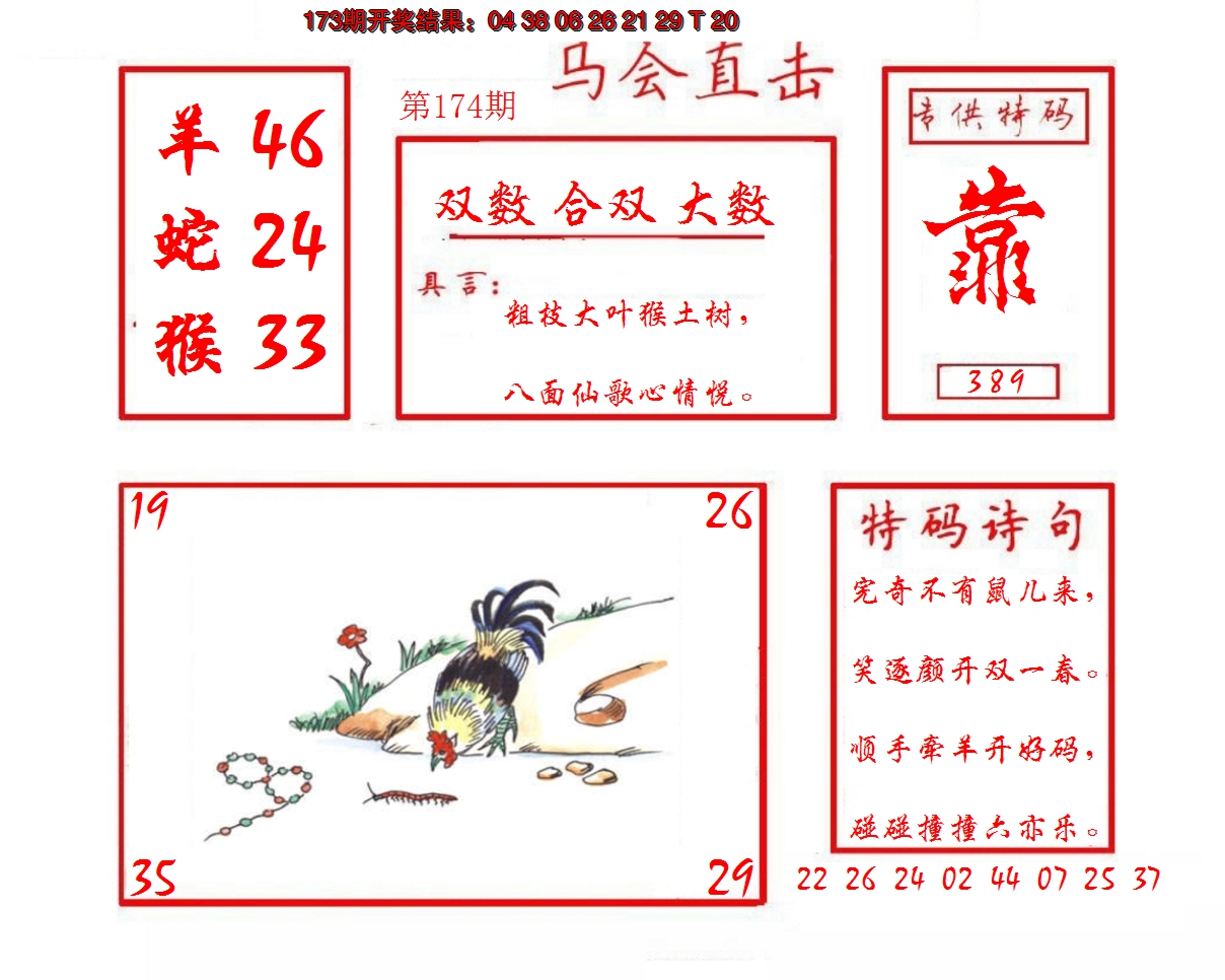 2024174期马会直击