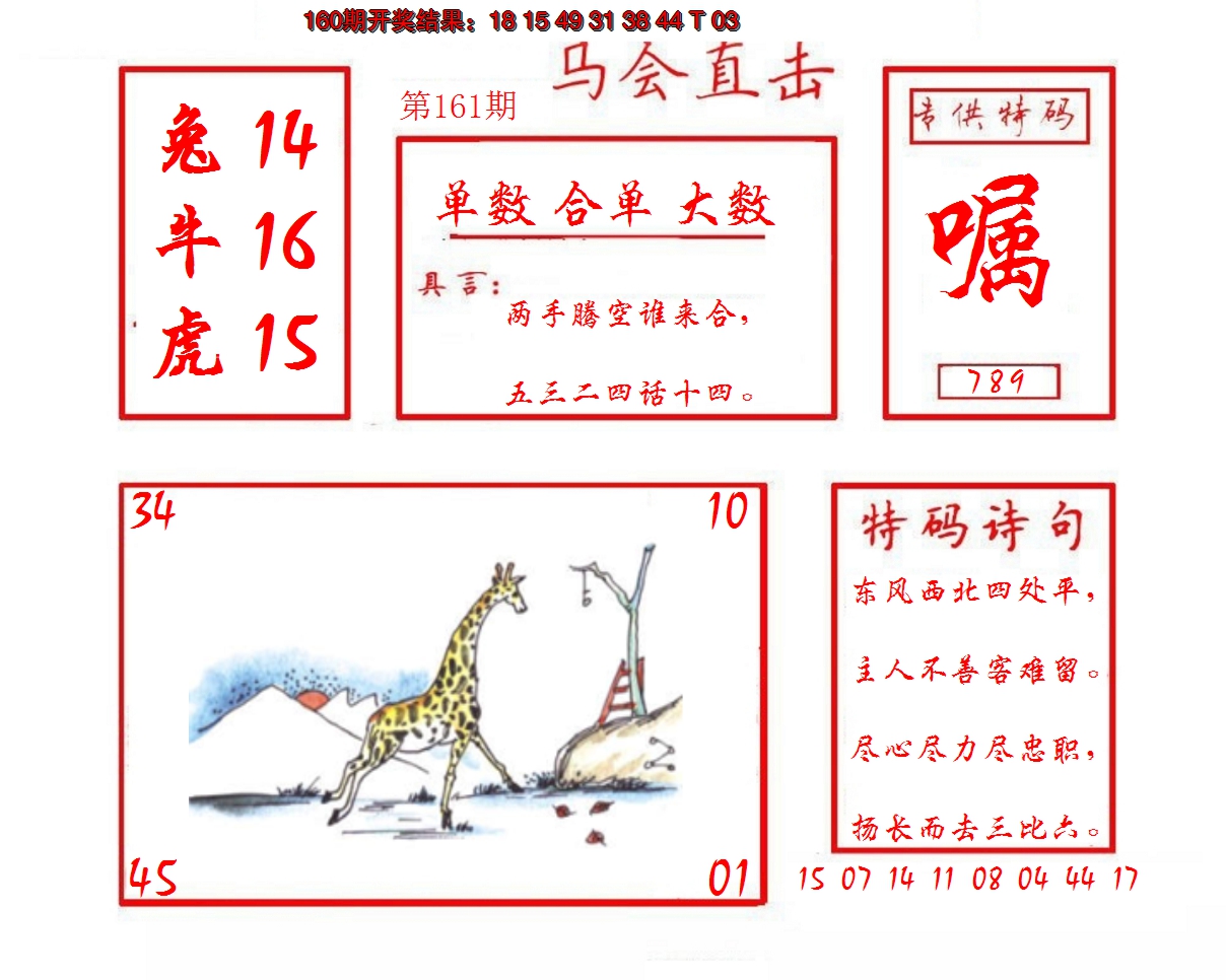 2024161期马会直击