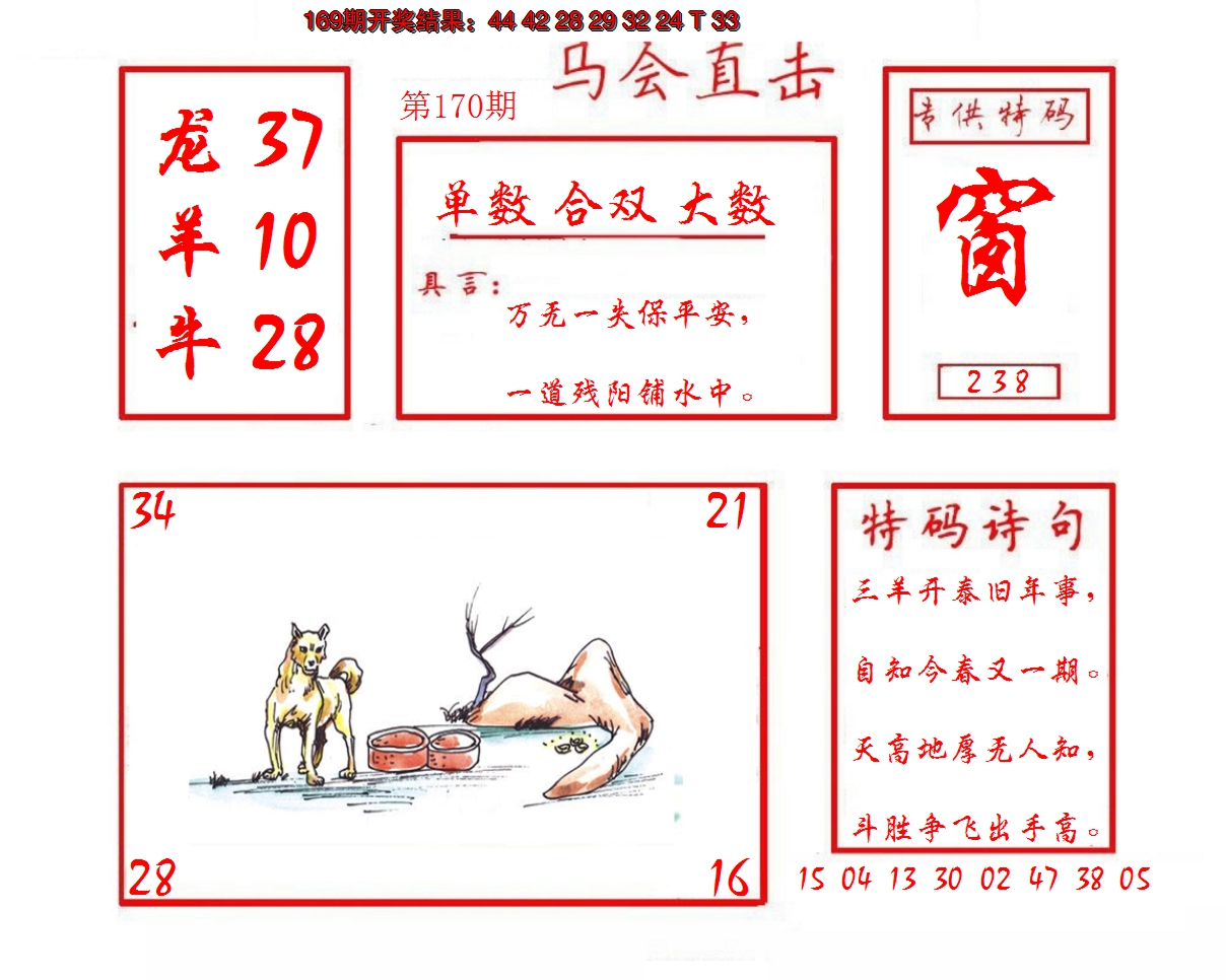 2024170期马会直击