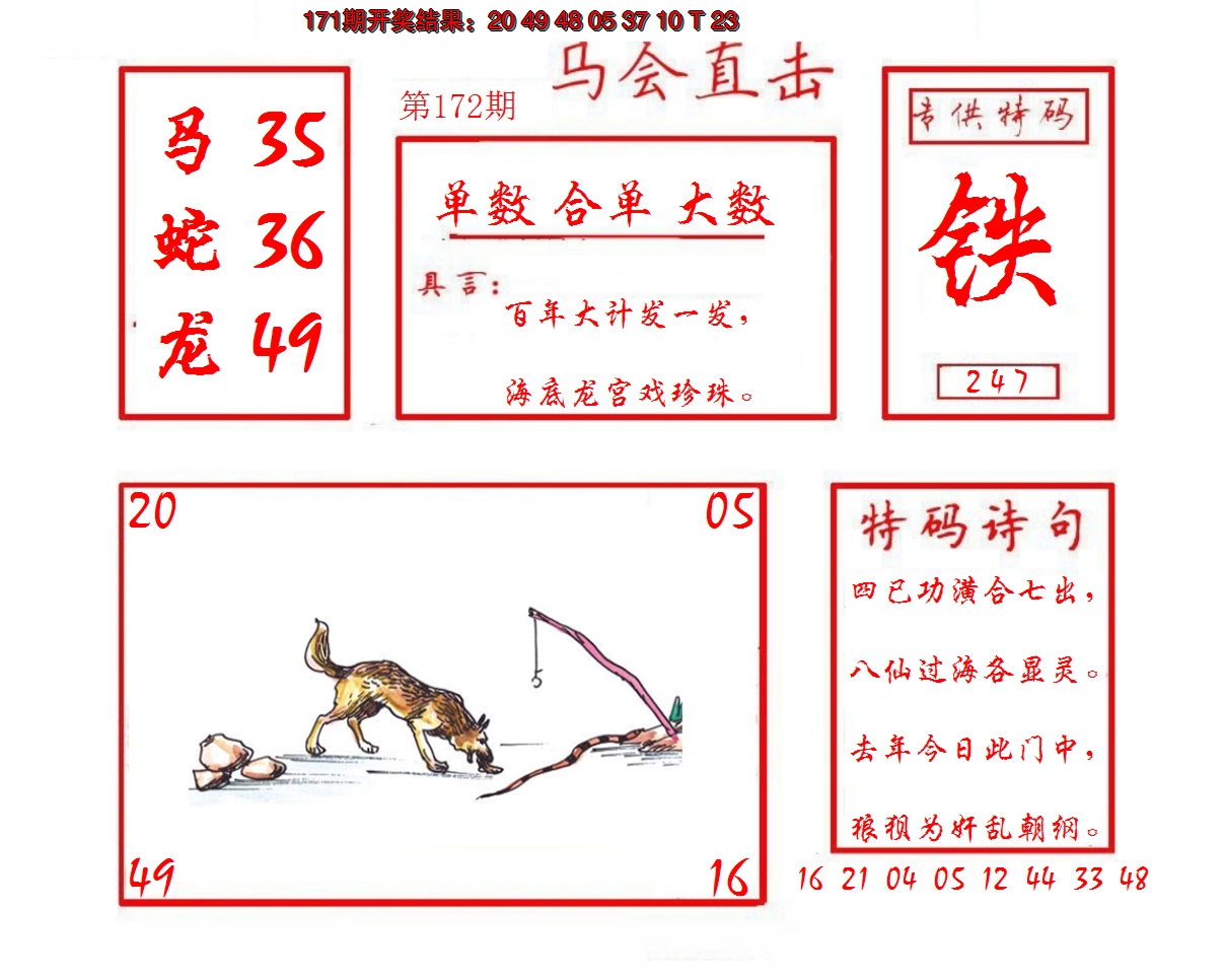 2024172期马会直击