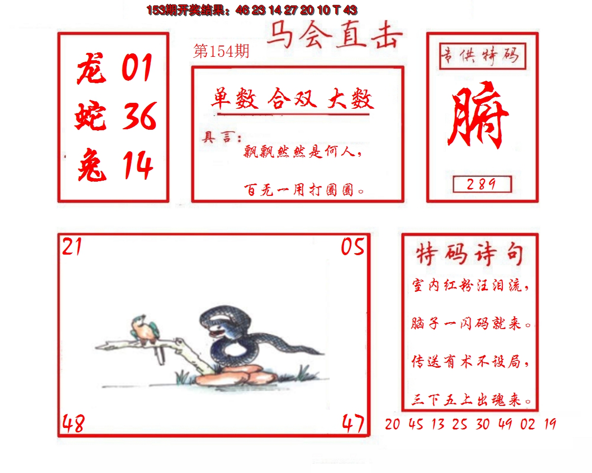 2024154期马会直击