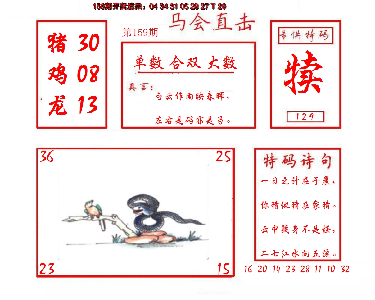 2024159期马会直击
