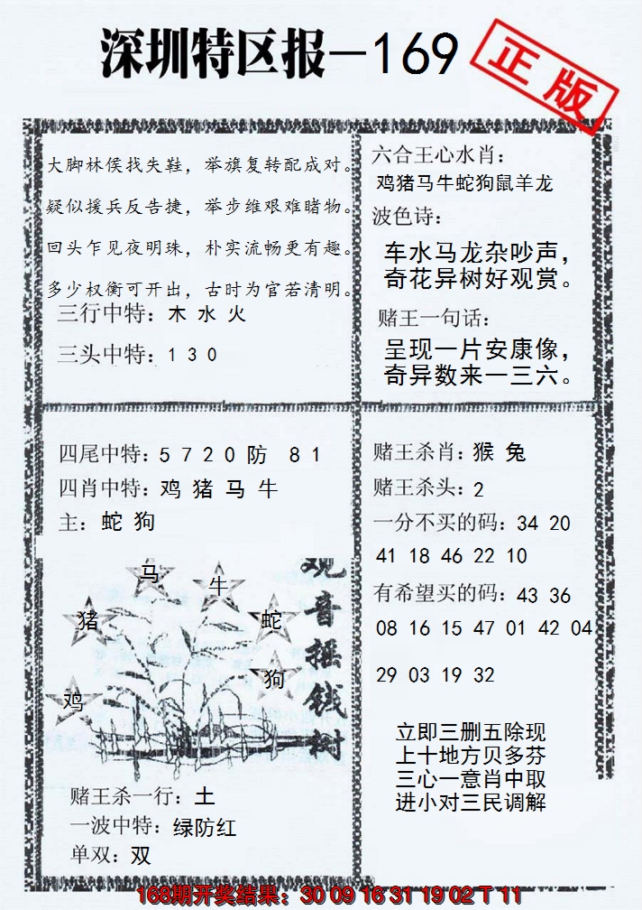 2024169期深圳特区报A