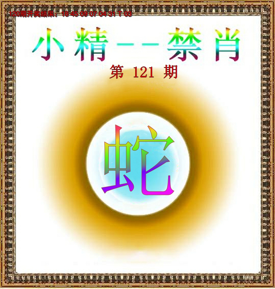 2024121期小精禁肖