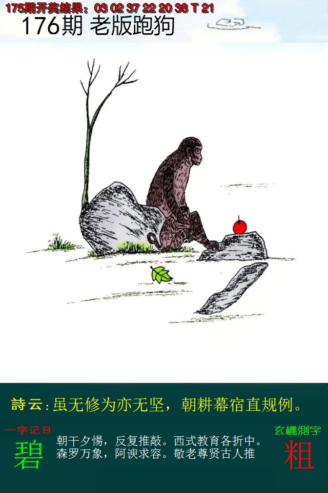 2024176期老版跑狗