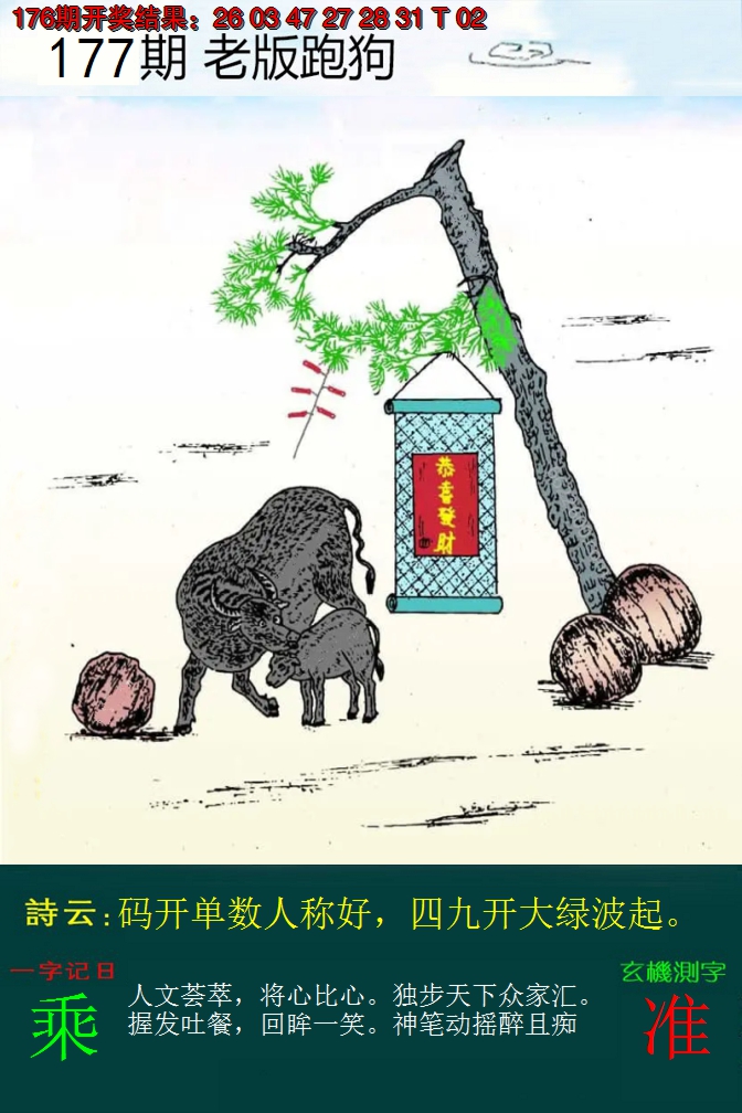 2024177期老版跑狗
