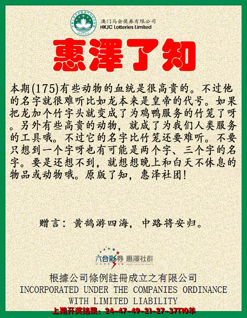 2024175期惠泽了知