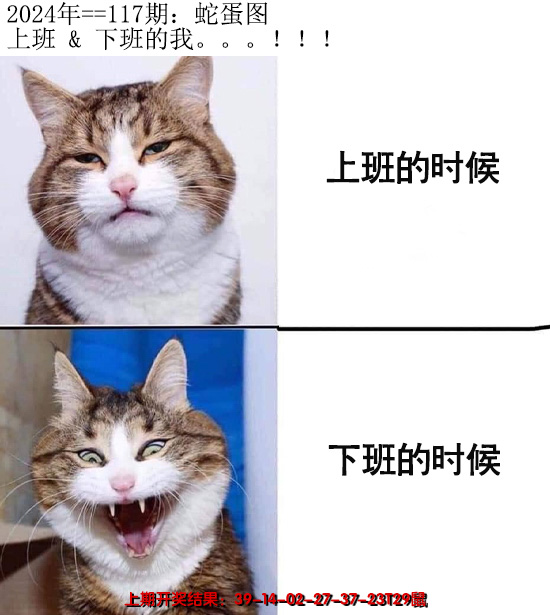 2024117期另版蛇蛋图