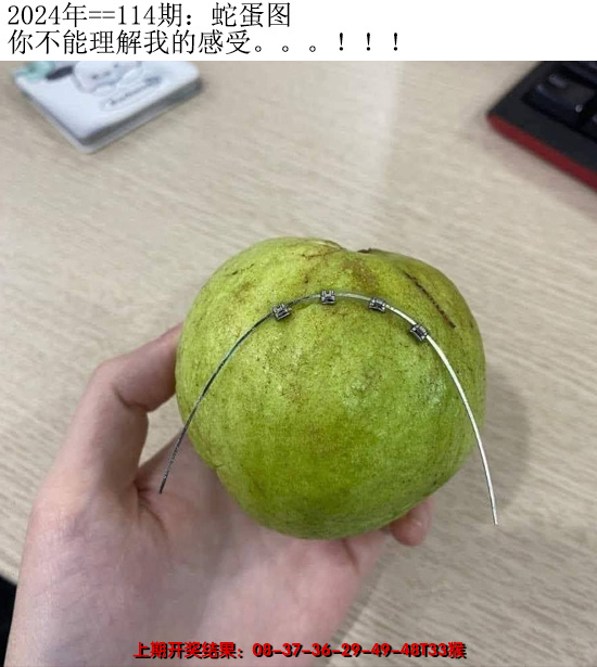 2024114期另版蛇蛋图