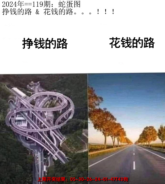 2024119期另版蛇蛋图
