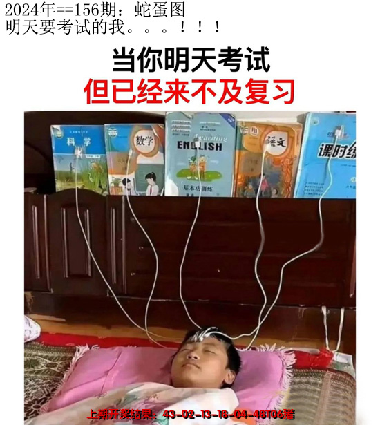 2024156期另版蛇蛋图