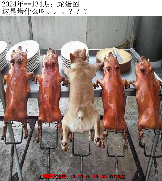 2024134期另版蛇蛋图