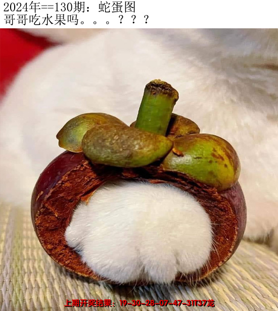 2024130期另版蛇蛋图
