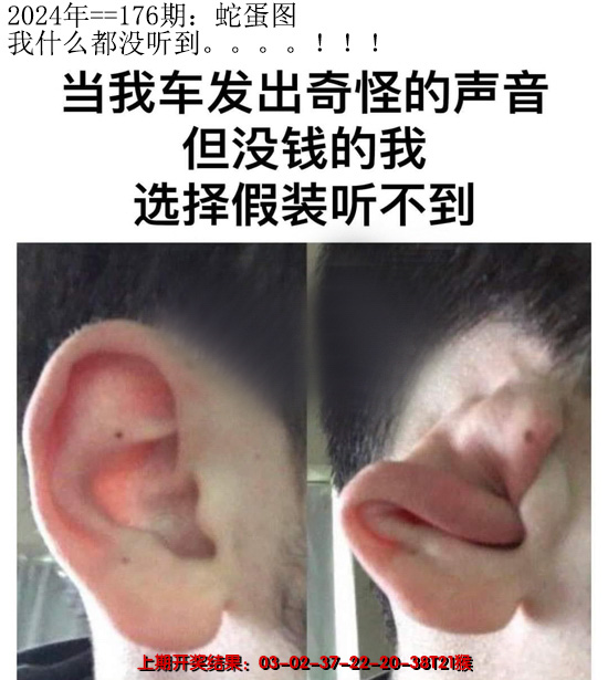 2024176期另版蛇蛋图
