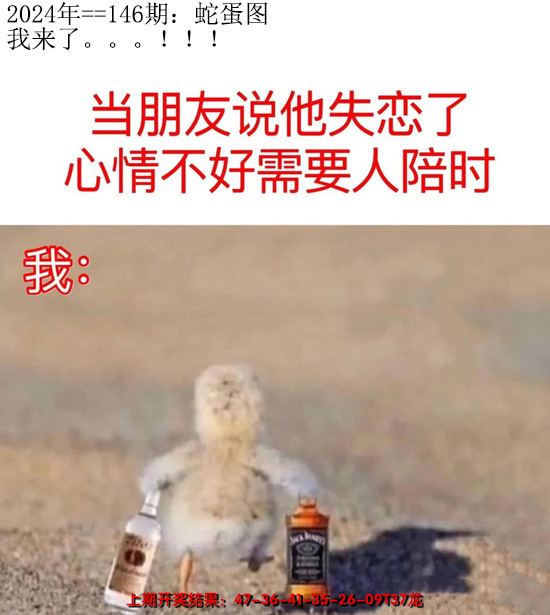 2024146期另版蛇蛋图