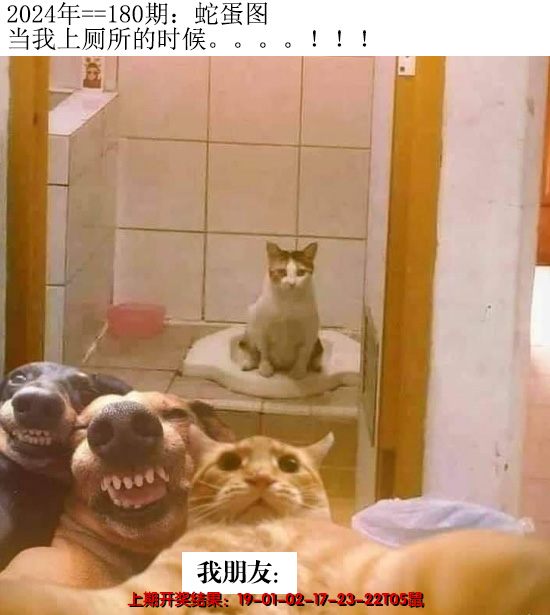 2024180期另版蛇蛋图