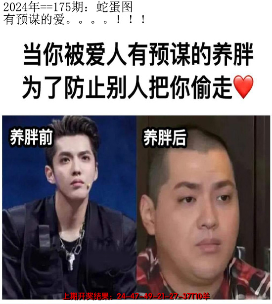 2024175期另版蛇蛋图