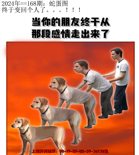 2024168期另版蛇蛋图