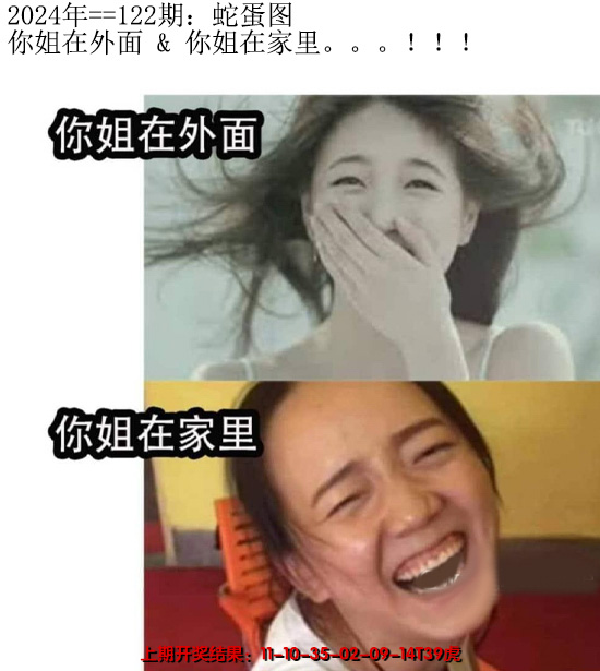 2024122期另版蛇蛋图