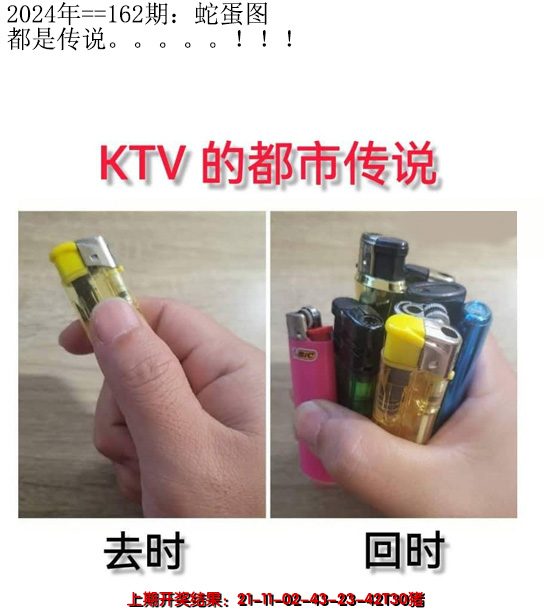 2024162期另版蛇蛋图