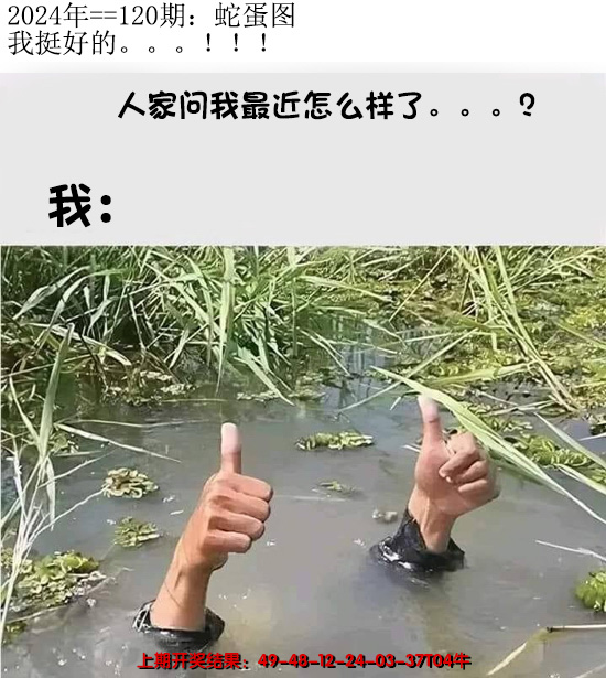 2024120期另版蛇蛋图
