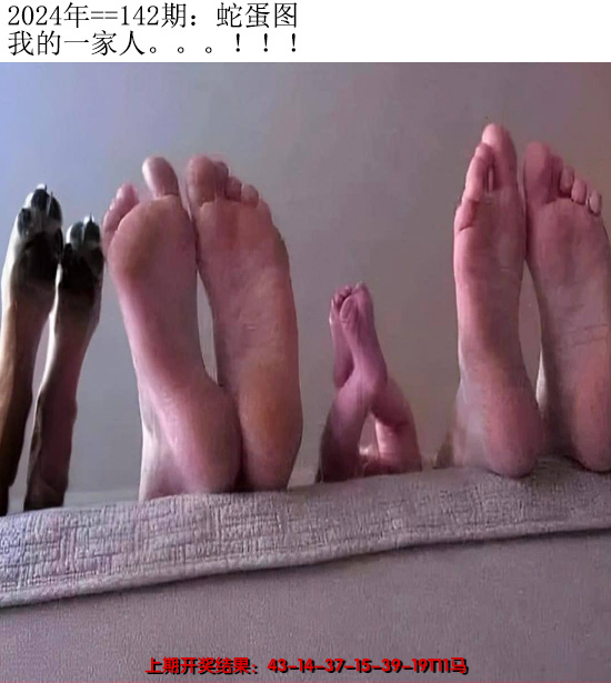 2024142期另版蛇蛋图