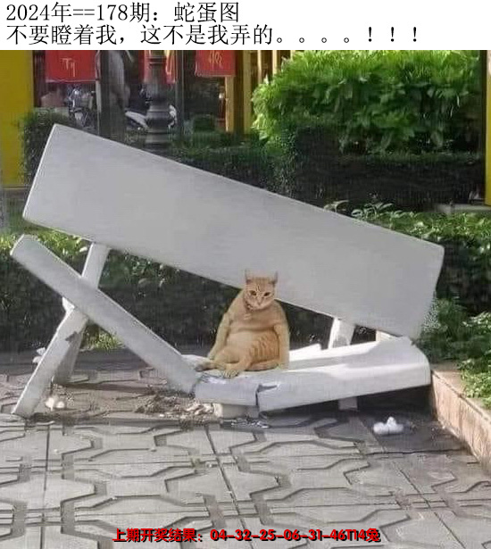 2024178期另版蛇蛋图