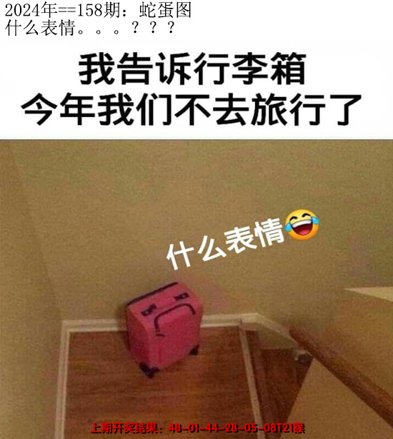 2024158期另版蛇蛋图