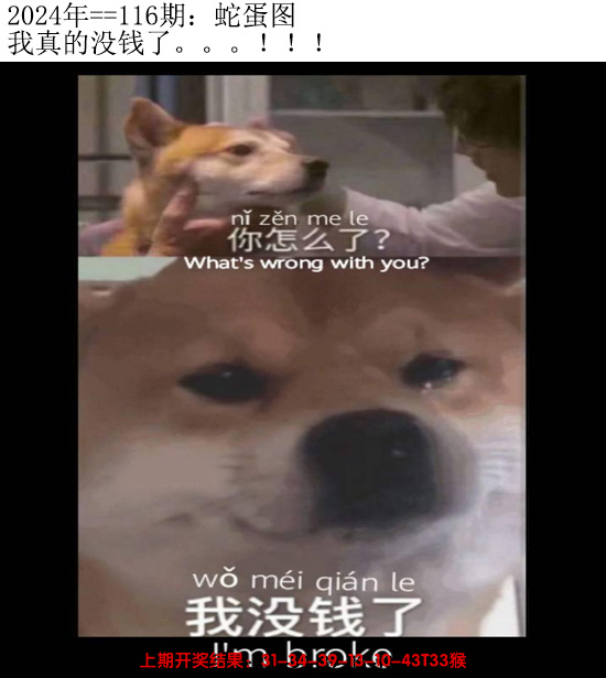 2024116期另版蛇蛋图