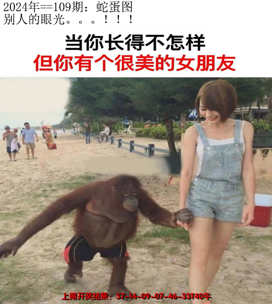 2024109期另版蛇蛋图
